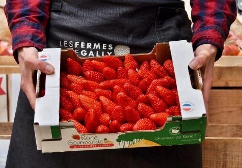 Barquette de fraises famille Granveau