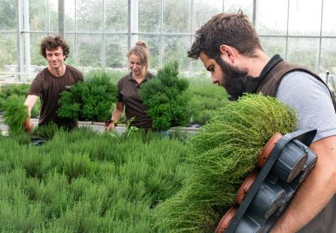 Vente de plantes à la Ferme horticole Théart