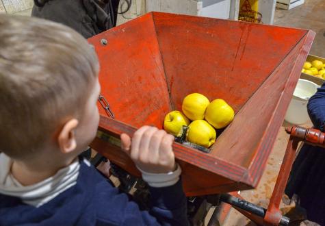 Fête de la Pomme à la Ferme de Gally de Saint-Denis
