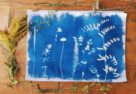 Atelier cyanotype pour adultes