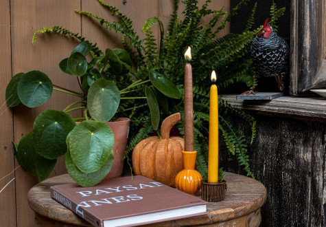 cierges artisanaux ferme de gally boutique Saint-Cyr-l’École