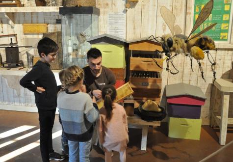 Atelier pour enfant abeille à la Ferme de Gally de Saint Cyr l'Ecole et de Sartrouville