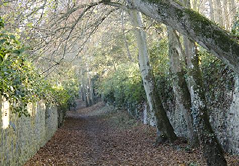 Chemin entre deux murs