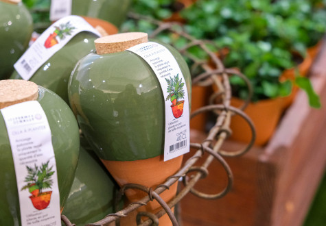 Ollas Les Fermes de Gally x Lutton