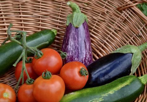 Légumes d'été de la Cueillette de Gally