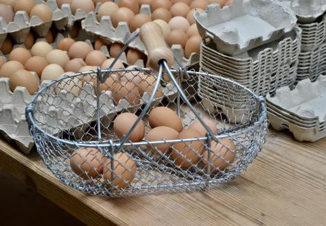 Paniers à oeufs Aert-Fil fabriqués en France
