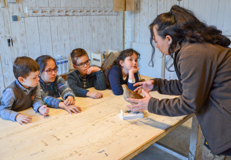 Atelier à la ferme pour enfants pendant vacances scolaires yvelines