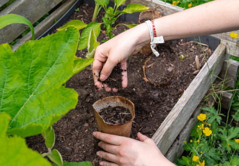 Atelier jardinage pour adultes