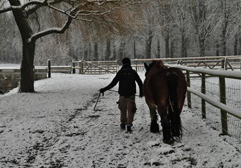 Fermier et son cheval