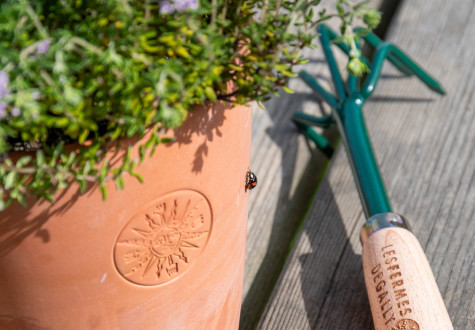 Potager aux Fermes de Gally
