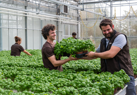 Matinée de recrutement Ferme de Gally