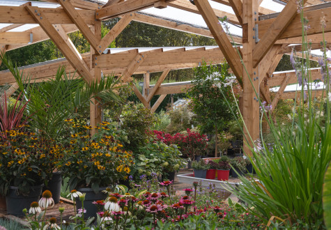 Offres de saison à la jardinerie des Fermes de Gally de Saint-Cyr-l'Ecole