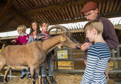 Visite aux animaux par les enfants