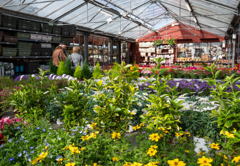 Foire aux plantes à la jardinerie de Gally à Saint Cyr l'Ecole Yvelines