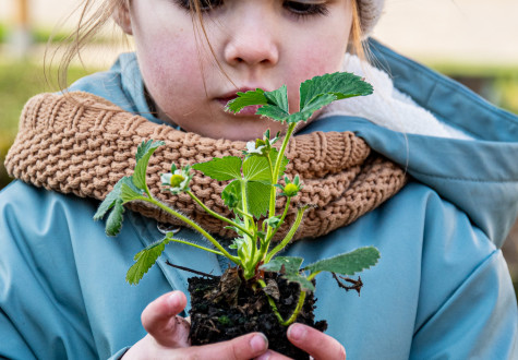 Atelier du printemps pour les familles à la ferme de Gally de Sartrouville