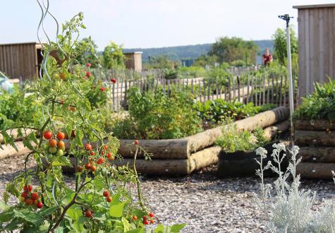 La location de jardins potagers