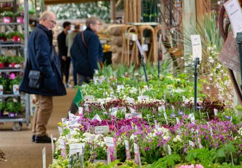 Jardinierie du magasin de Gally à Saint-Cyr