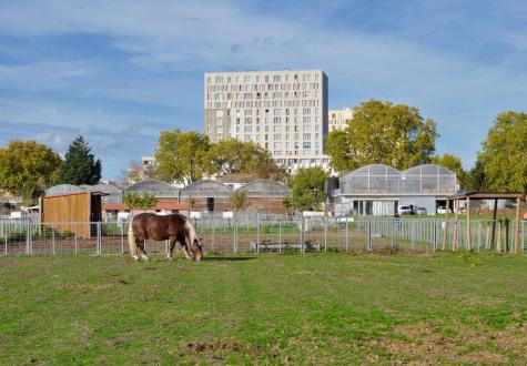 Ferme ouverte de Saint Denis