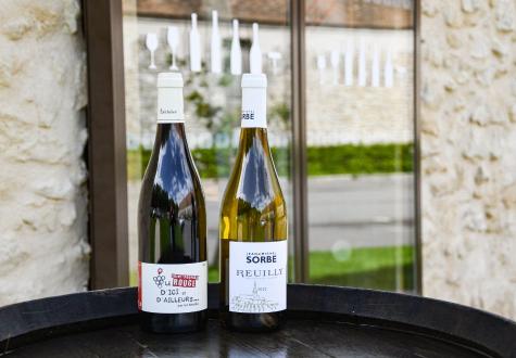 Animation et dégustation vin cave de gally