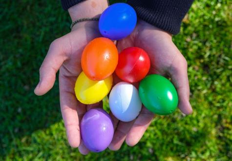 Chasse aux oeufs vacances ferme de gally saint cyr l'école