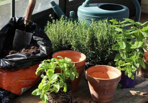 Atelier jardinage pour enfant à la Ferme urbaine de Saint Denis