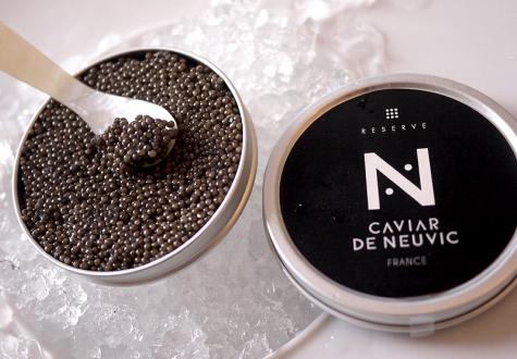 Caviar de Neuvic rencontre et dégustation les Fermes de Gally