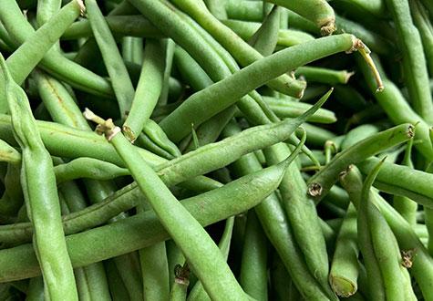 haricots verts