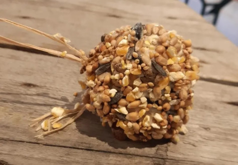 Atelier oiseaux fabrication nourrisseur oiseau Les Fermes de Gally DIY