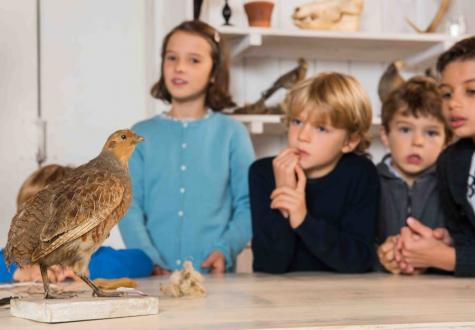 Atelier oiseaux fabrication nourrisseur à oiseau Les Fermes de Gally DIY