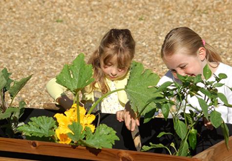 Potager hors sol pratique pour les enfants